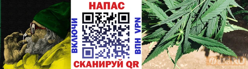 Конопля план  закладки  Краснодар 